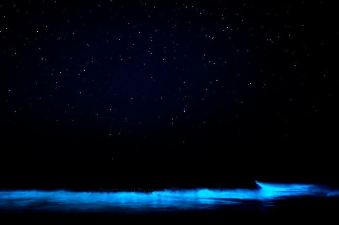 Magic After Dark Bioluminescence Kayak Tour Orlando - Meeting Point: How to Show Up Without Stress