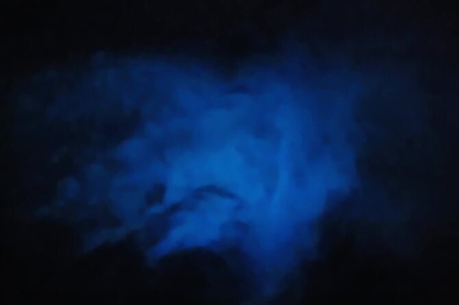 Magic After Dark Bioluminescence Kayak Tour Orlando - First Timer-Friendly: Lessons, Safety, and the Calm Pace