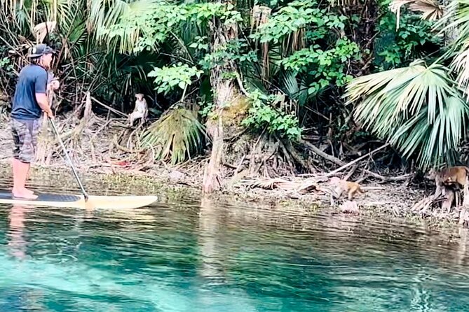 Manatees, Monkeys and Florida Natural Spring Adventure Tour - Skills Lesson: Getting Confident Quickly