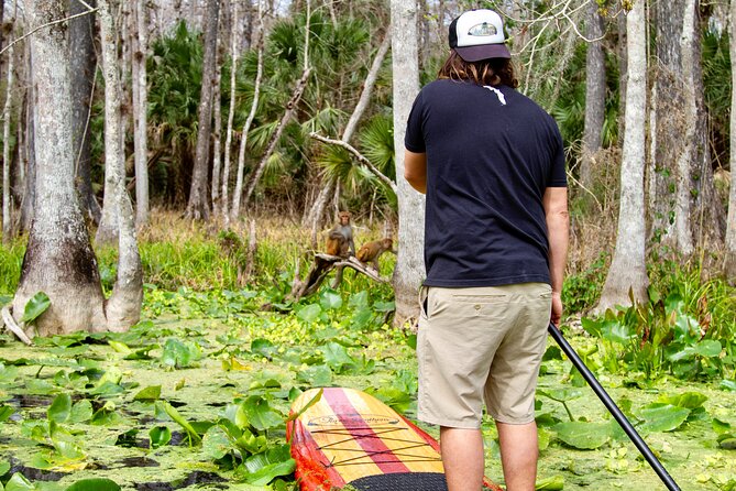 Manatees, Monkeys and Florida Natural Spring Adventure Tour - Group Size and Pacing: A Two-Hour Experience That Feels Well Run