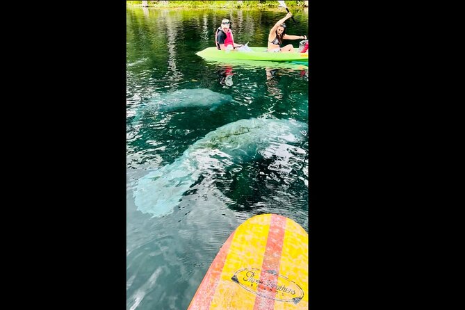 Manatees, Monkeys and Florida Natural Spring Adventure Tour - Price and Value: Is This Worth It Compared to Other Spring Trips?