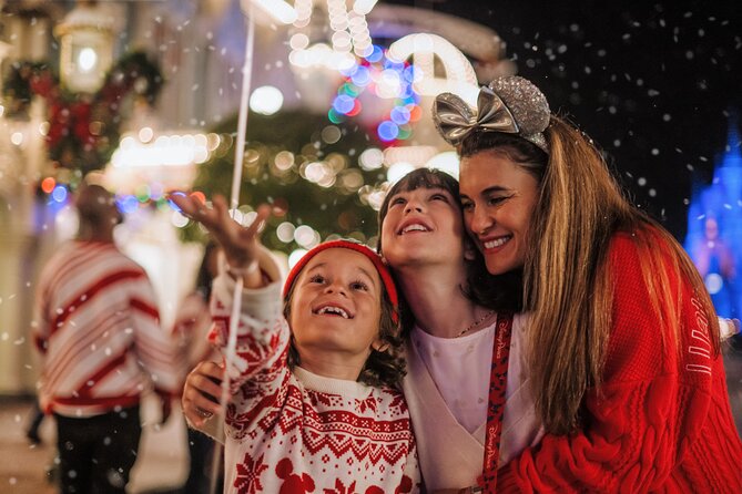 Mickey's Very Merry Christmas Party at the Magic Kingdom - The Night’s Core Lineup: Fireworks, Frozen, Parade, and Snowfall