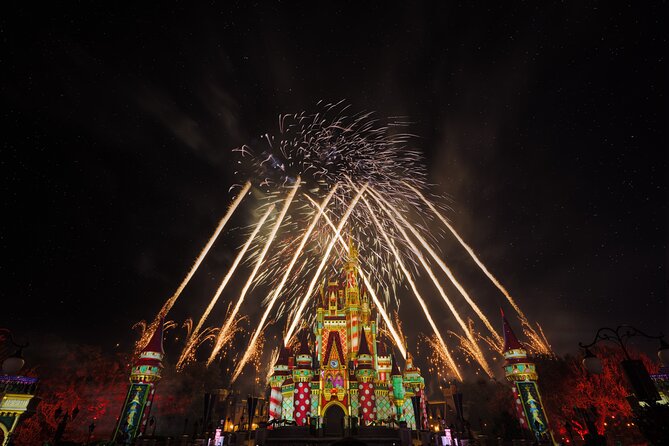 Mickey's Very Merry Christmas Party at the Magic Kingdom - Logistics That Actually Matter: Mobile Ticket, Meeting Point, and Timing