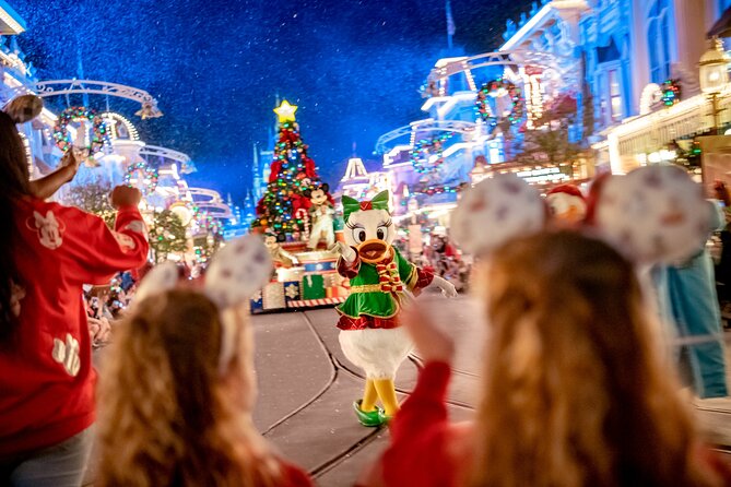 Mickey's Very Merry Christmas Party at the Magic Kingdom - Who This Party Fits Best