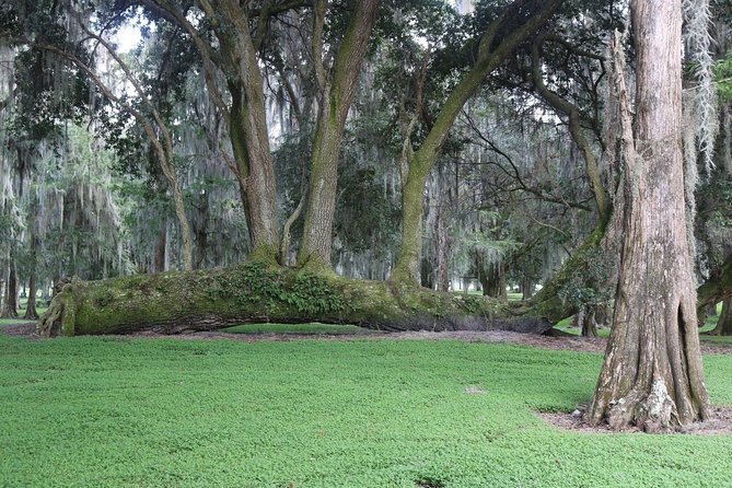 One-Hour Airboat Ride Near Orlando - Timing, arrival, and the cold/wind reality