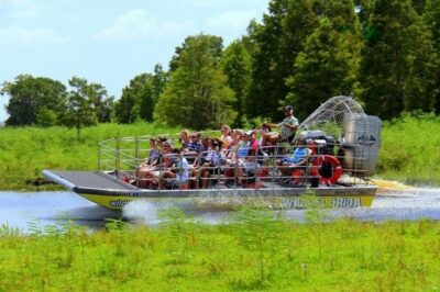 Orlando: Airboat Ride Tour with Hotel Pickup - Hotel Pickup with Gray Line: Getting There Without Stress