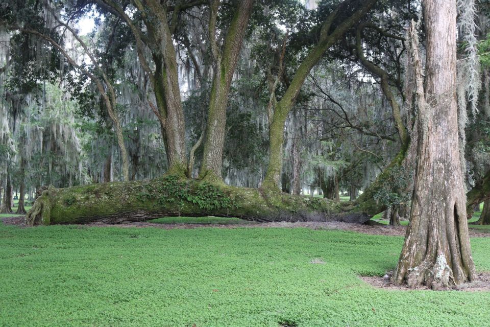Orlando: Airboat Ride Tour with Hotel Pickup - Price, Inclusions, and What You’ll Still Pay For