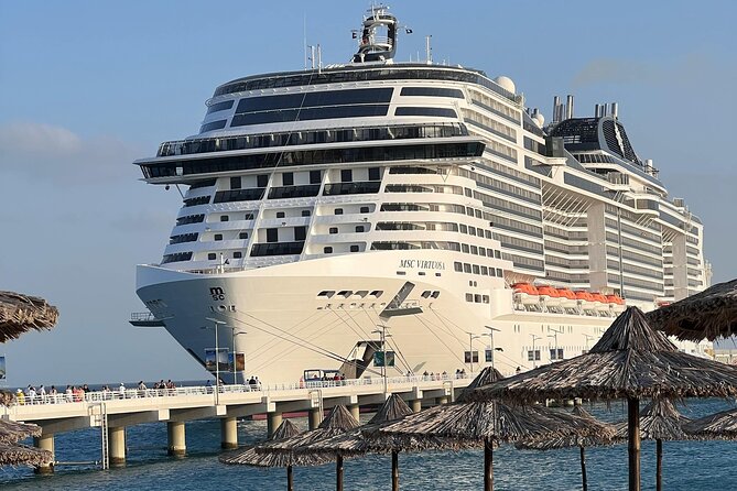 Orlando Airport MCO and Resort Transfer to Port Canaveral - Arrival at Port Canaveral: what “one-way private” means for your stress level