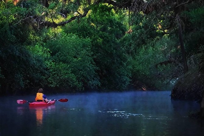 Orlando Alligator Experience - Key moments on the Econlockhatchee (what you’ll notice fast)