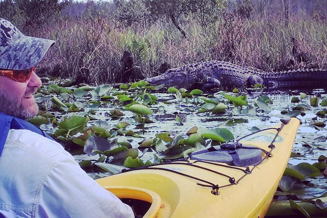 Orlando Alligator Experience - Price and value: what $100 buys you in Orlando waters