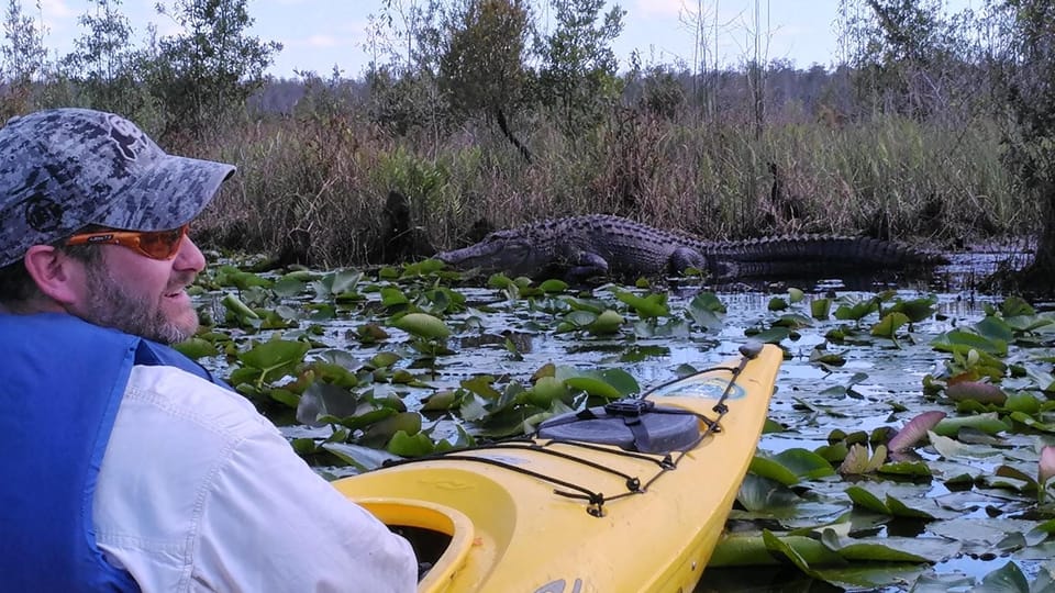 Orlando Alligator Experience: Day-Trip From Orlando - From Orlando, a wild river day that actually feels wild