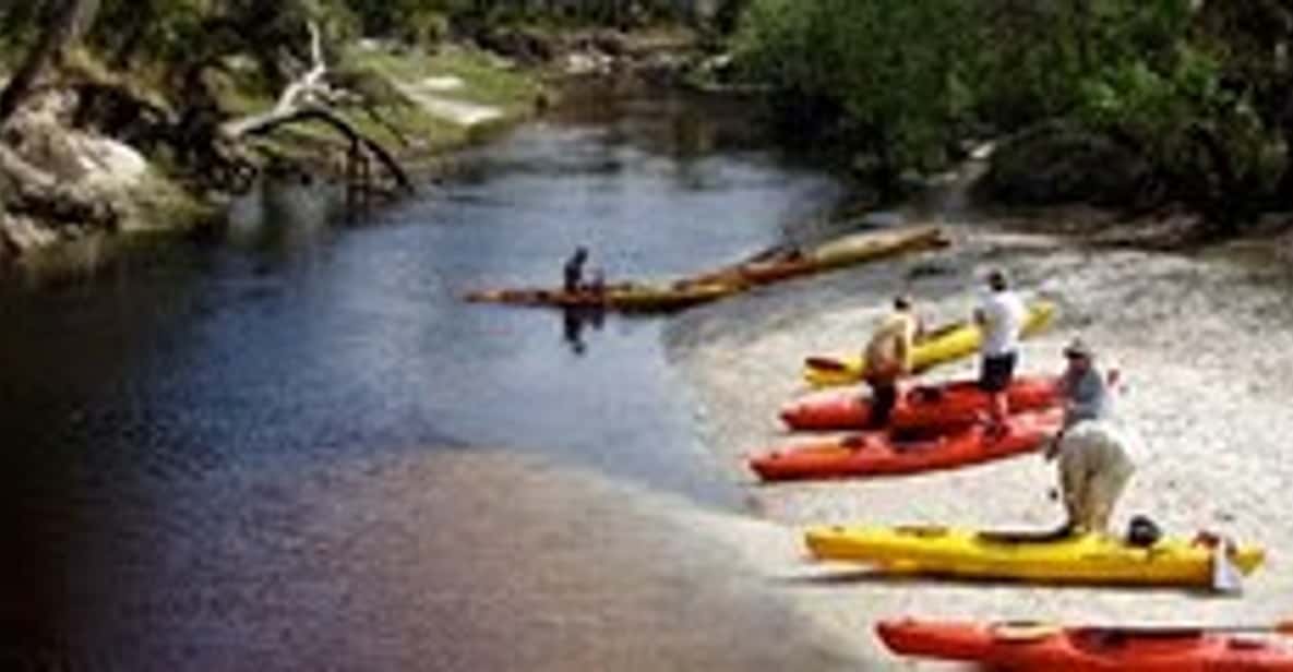 Orlando Alligator Experience: Day-Trip From Orlando - The 270-minute flow: what your half-day really includes