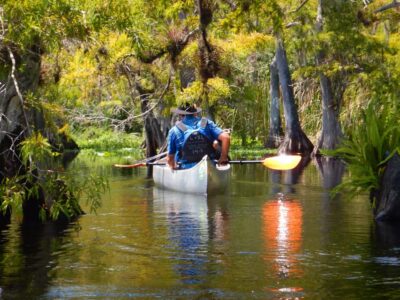 Orlando Alligator Experience: Day-Trip From Orlando - Alligators (yes), plus the rest of the river’s cast