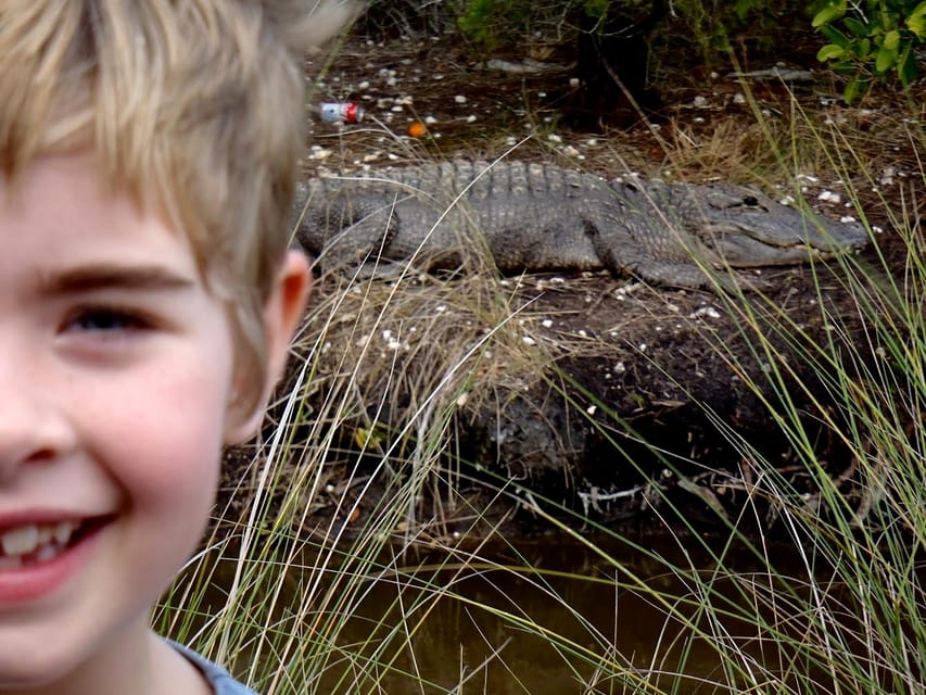 Orlando Alligator Experience: Day-Trip From Orlando - Who this fits best (and who should skip)