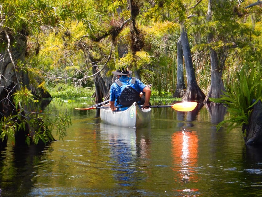 Orlando Alligator Experience: Day-Trip From Orlando - Alligators (yes), plus the rest of the river’s cast