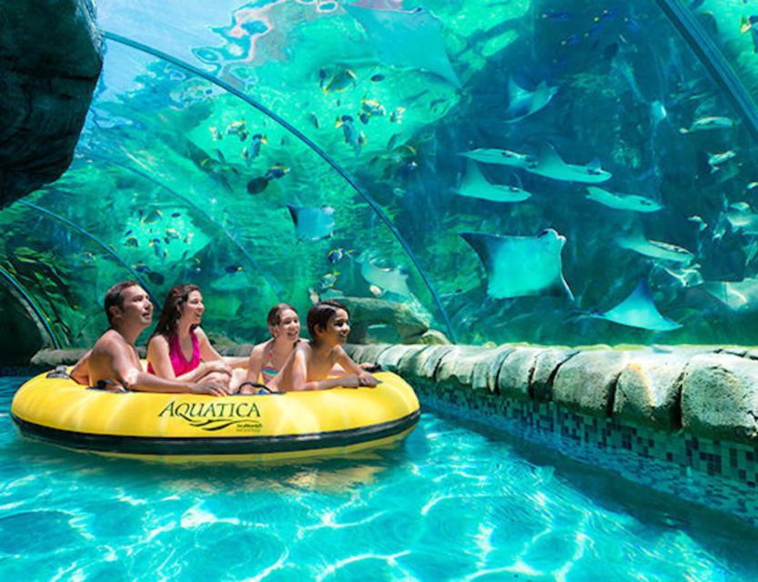 Orlando: Aquatica Water Park Admission Ticket - Kid Water Play Areas: Why Families Can Actually Stick Together