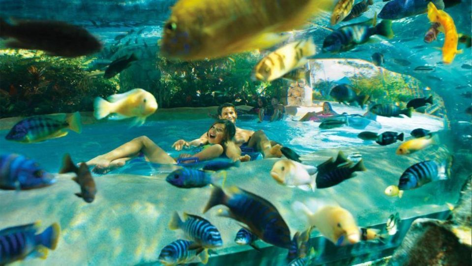Orlando: Aquatica Water Park Admission Ticket - Relax Like You Mean It: Loggerhead Lane Lazy River Breaks