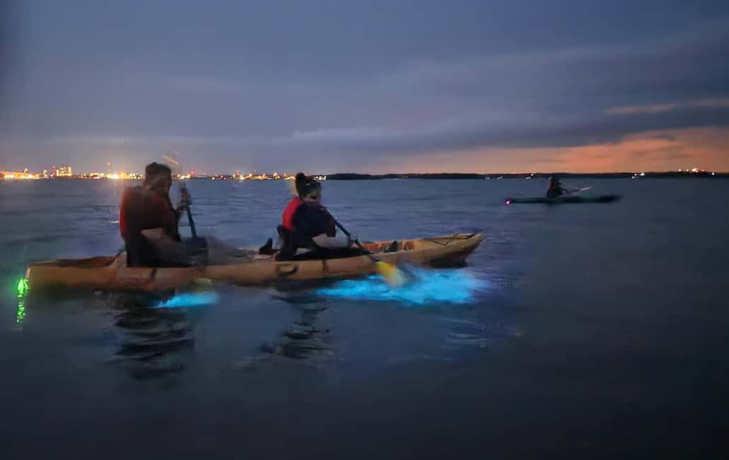 Orlando: Bioluminescence Kayak Adventure - Two departure times: sunset vs stargazing