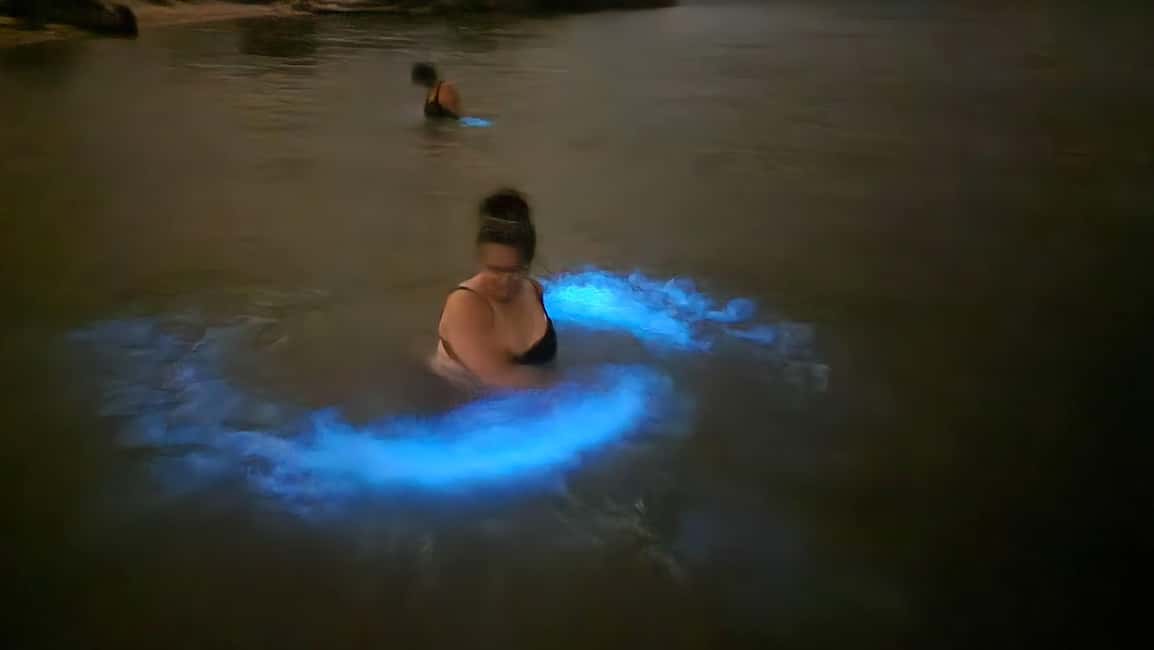 Orlando: Bioluminescence Kayak Adventure - What you’ll see on the water (and why it feels magical)
