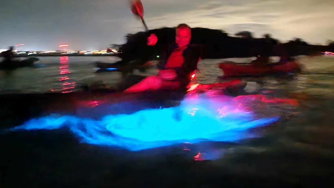 Orlando: Bioluminescence Kayak Adventure - The guide makes or breaks the night