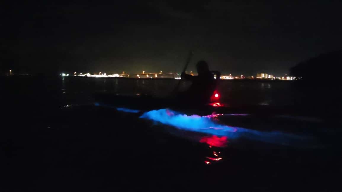 Orlando: Bioluminescence Kayak Adventure - Price and value: is $75 a fair deal?