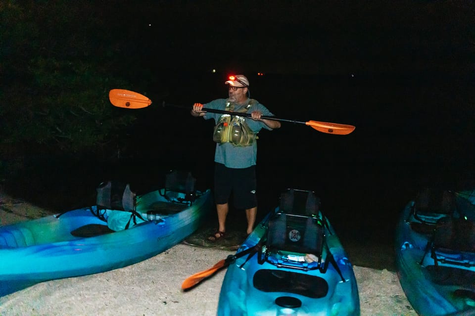 Orlando: Bioluminescence Kayak Tour - What you might see: glowing fish, manatees, and dolphins