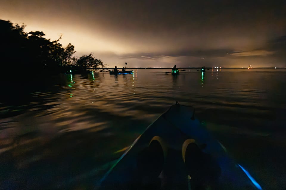 Orlando: Bioluminescence Kayak Tour - Price and value: is $86 worth it for 1.5 hours?