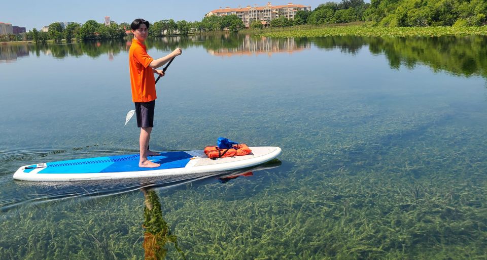 Orlando: Clear Kayak and Paddleboard 2-Hour Rental - Wildlife spotting (and why this paddle feels different at water level)