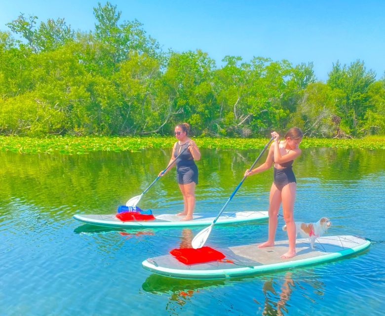 Orlando: Clear Kayak and Paddleboard 2-Hour Rental - Price and value: why $45 feels reasonable for what you get
