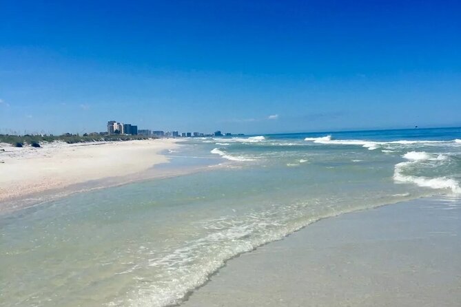 Orlando: Clearwater Beach, Dolphin Cruise Small Group Max 14 Tour - How the day works: Orlando to Clearwater Beach without the stress