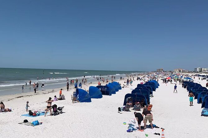 Orlando: Clearwater Beach, Dolphin Cruise Small Group Max 14 Tour - Practical tips for a smoother Clearwater day