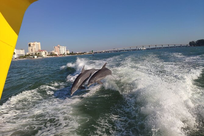 Orlando: Clearwater Beach, Dolphin Cruise Small Group Max 14 Tour - Should you book this Orlando to Clearwater Beach day trip?