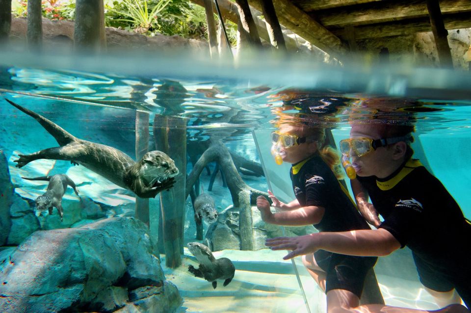 Orlando: Discovery Cove Admission Ticket & Additional Parks - Key Takeaways at a Glance