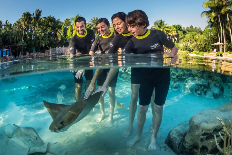 Orlando: Discovery Cove Admission Ticket & Additional Parks - Why Discovery Cove Feels Like a Calm Orlando Escape