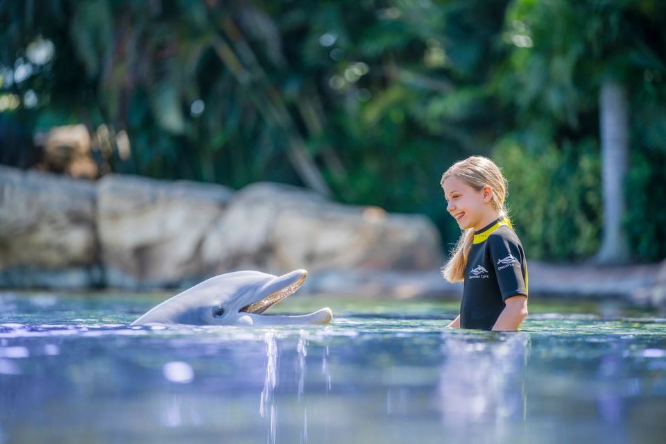 Orlando: Discovery Cove Admission Ticket & Additional Parks - Price and Value: Does a $144 Ticket Make Sense?