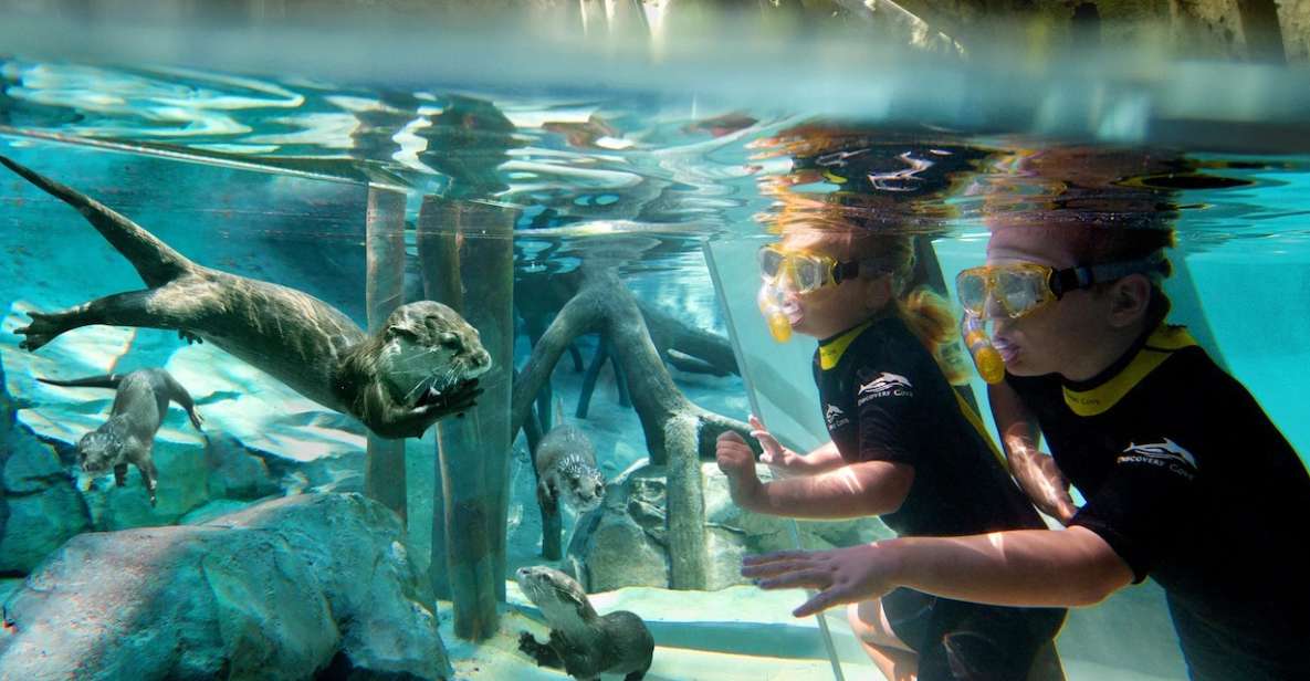 Orlando: Discovery Cove Admission Ticket & Additional Parks - Practical Tips: What to Bring and the Rules You’ll Notice