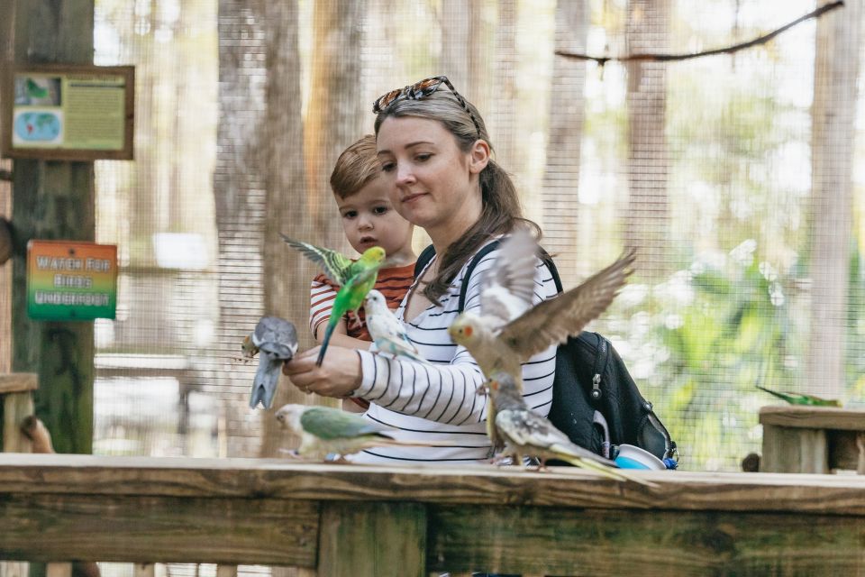 Orlando: Drive-Thru Safari Park at Wild Florida - Price and value: is $35 worth it?