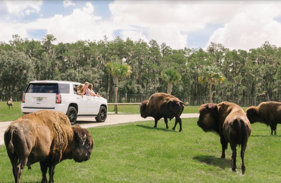 Orlando: Drive-Thru Safari Park at Wild Florida - Orlando’s best feature is control: your car, your pace
