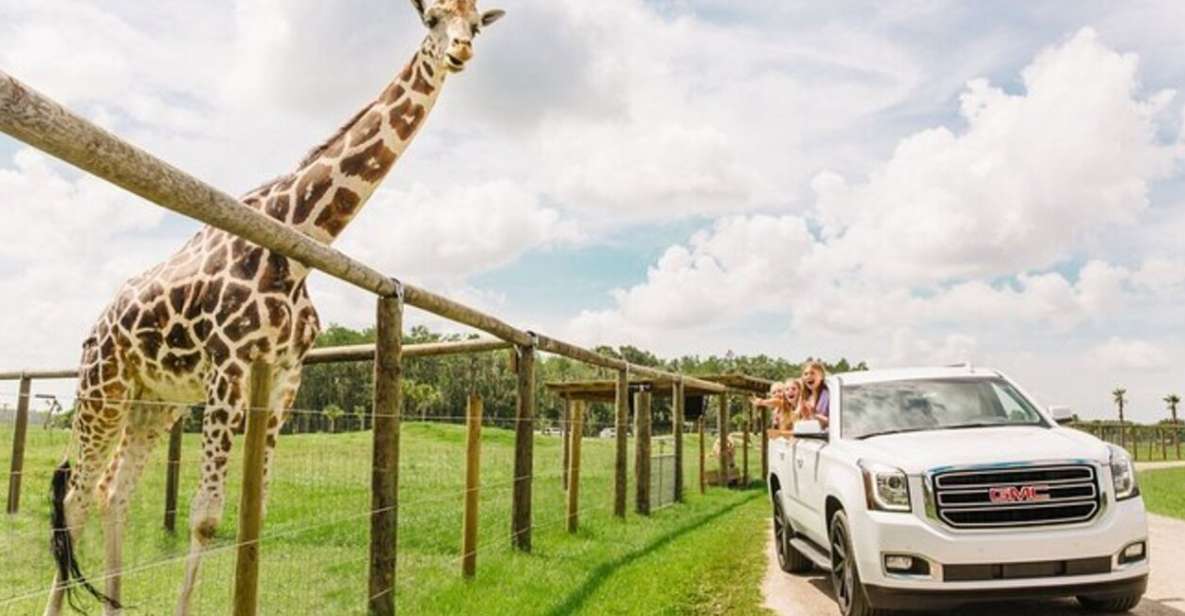 Orlando: Drive-Thru Safari Park at Wild Florida - The drive-thru safari loop: gravel paths and real open-space viewing