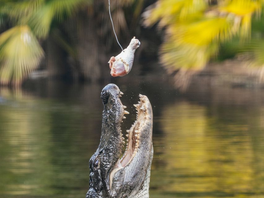 Orlando: Drive-Thru Safari Park at Wild Florida - Getting there the right way: own vehicle is a must