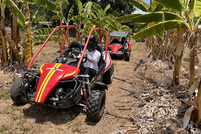 Orlando Dune Buggy Tour - Price and value: is $89.99 worth it?