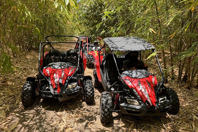 Orlando Dune Buggy Tour - Who this dune buggy tour is best for (and who should think twice)