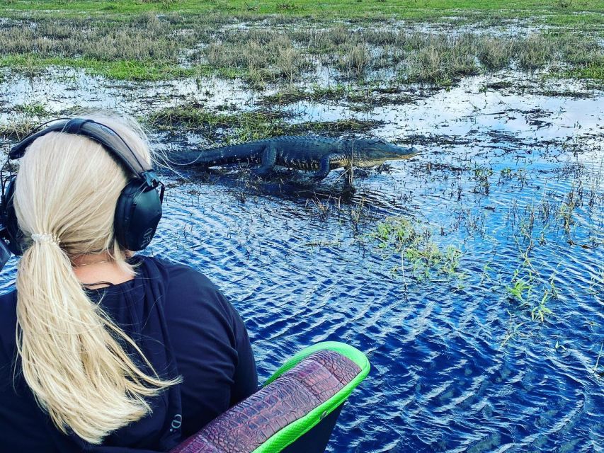 Orlando: Everglades Airboat Ride and Wildlife Park Ticket - The live alligator demonstration: what you should look for