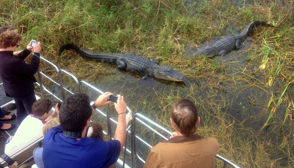 Orlando: Everglades Airboat Ride and Wildlife Park Ticket - Price and logistics: does $36 feel fair for what you get?