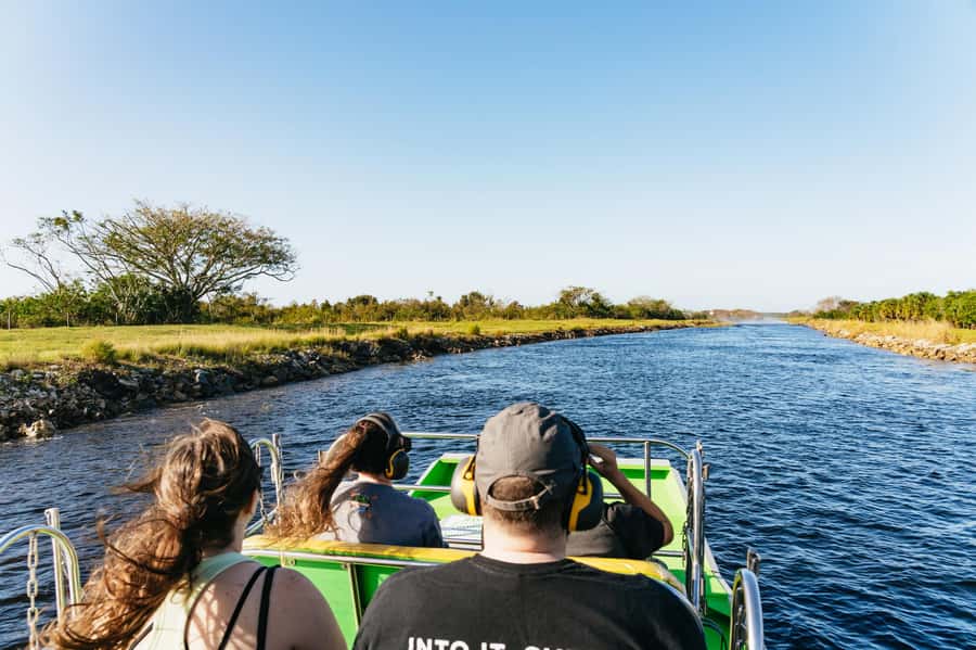 Orlando: Florida Everglades Wildlife Airboat Tour - Wildlife spotting that actually makes sense: gators and bald eagles
