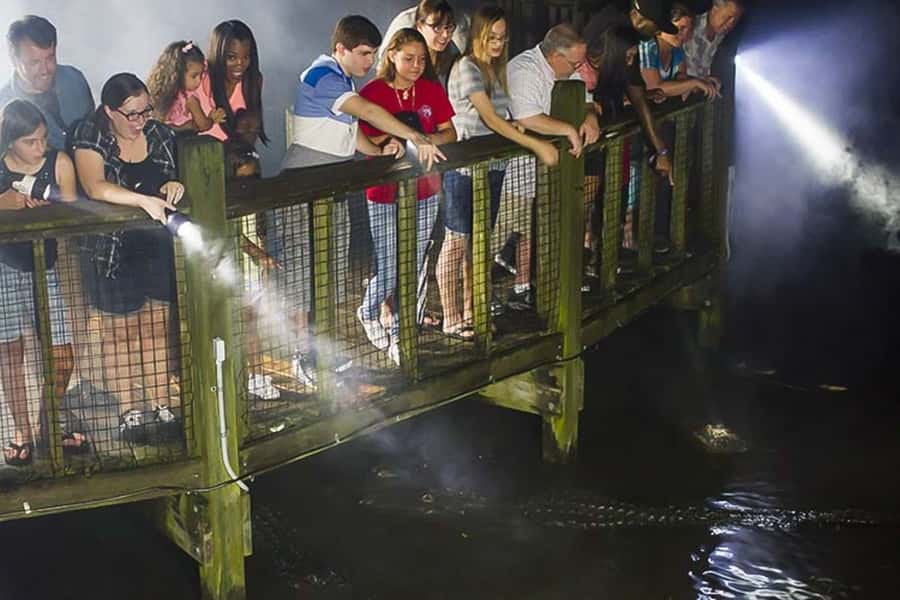 Orlando: Gatorland Flashlight Tour at Night - Key Things You Should Know Before You Go
