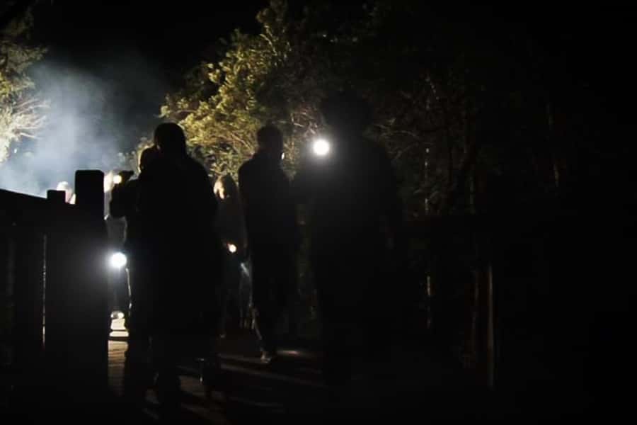 Orlando: Gatorland Flashlight Tour at Night - Flashlight Tour Survival Tips for Spotting Alligators