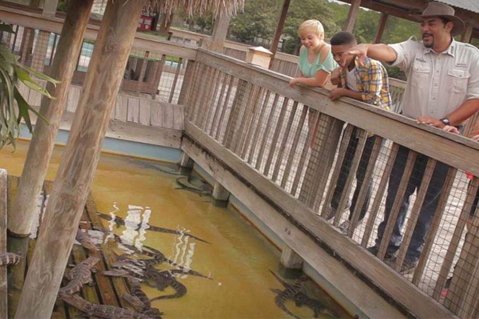 Orlando: Gatorland Interactive Tour with Animal Trainer - Meeting at the Gatorland Entrance: Where the Tour Starts