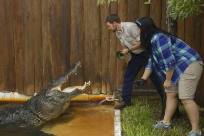 Orlando: Gatorland Interactive Tour with Animal Trainer - Start With the Baby: Holding the Little Alligator Moment