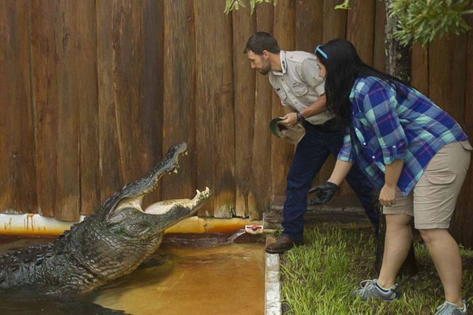 Orlando: Gatorland Interactive Tour with Animal Trainer - Start With the Baby: Holding the Little Alligator Moment
